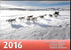Greenland 2016          MNH**    Yearset  Yearbook - Volledige Jaargang