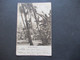 AK 1904 GB / Kolonie Palmenkletterer Toddy Drawers Stempel Teignmouth Nach Falmouth Cornwall Gesendet - Azië