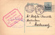 Lot X2 Carte Postale - Entier Postal - Timbre D'allemagne Avec Surcharge 5C - Litige Annuaire Horticole 1916 - Cartoline 1909-1934