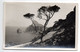 Espagne --FORMENTOR  POLLENSA-MALLORCA --1951--Vista  ......timbre,,cachet........à Saisir - Sonstige & Ohne Zuordnung