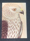 Carte Maximum Tampon Timbre Carte Illustrée Rapace Premier Jour 1984 Busard - Aigles & Rapaces Diurnes