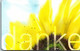 28387 - Deutschland - Danke , Sonnenblume - KD-Serie : Ringraziamenti