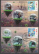 2020 Taiwan R.O.CHINA -Maximum Card.-COVID-19 Prevention Postage Stamps(4 Pcs.) - Maximum Cards