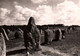 CPSM - CARNAC - Alignements Mégalithiques Site Kermario ... Edition La Cigogne - Dolmen & Menhirs