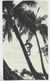 NOUVELLE CALEDONIE 60C+40C CARTE PUB IONYL NOUMEA 15.12.1954 - Cartas & Documentos