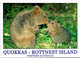 (3 F 20) Australia - Automobile Stamp - WA - Rottnest Island QUOKKAS - Other & Unclassified