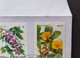 Taiwan Vine Flowers 1996 Plant Flora (FDC) *rare *see Scan - Covers & Documents