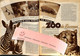 Delcampe - L'Echo Illustré 1946 29 Tour De Suisse Stations Météorologie Météo Zoo Paris Expo Coloniale Humour Publicités Bevin - 1900 - 1949