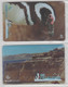 BRASIL 2003 PATAGONIA PENGUIN SET OF 2 CARDS - Pingueinos