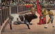 1105 - Spain – Vicente Segura Después De Una Estocada – Corrida Tauromache – Animation – Written - VG Condition - Corrida