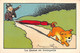 ¤¤   -   Illustrateur " Benjamin RABIER " Lot De 4 Images   -   Voir Description     -  ¤¤ - Rabier, B.