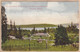 US.- TACOMA, WASH. Pr. DEFIANCE PARK, PUGET SOUND IN BACKGROUND.. POST CARD - Tacoma