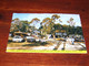 40579-                    LAZY DAISY CARAVAN RANCH, BONVILLE, COFFS HARBOUR, N.S.W  / Auto / Car / Coche / Voiture - Other & Unclassified