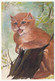 3 CPM - Illustrateur J.M. DESLY - CHATS - Le Petit Espiègle, Friponne, La Chatterie - Katten