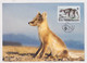 MC 034305 FINLAND - Arcitc Fox - Cartes-maximum (CM)