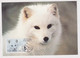 MC 034307 FINLAND - Arcitc Fox - Maximum Cards & Covers