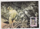 MC 034316 ISLAND - Gyrfalcon - Cartes-maximum