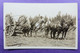 ALGOMA Lumber & Co Kodak  Photo Lumberlogging N°1352 Horsepower Canada?  Or Wiscounsin? -RPPC Attelage Quatre 4-span - Autres & Non Classés