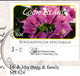 (1 G 1) Cook Islands Postcard Posted To Australia - With Flower Stamps - Aerial View Of Rarotonga (posted 2011) - Cook Islands