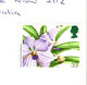 (1 G 1) UK Postcard Posted To Australia  - Cheltenham Imperial Gardens (flower Stamp Unusual Position ?) - Cheltenham