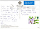 (1 G 1) UK Postcard Posted To Australia  - Cheltenham Imperial Gardens (flower Stamp Unusual Position ?) - Cheltenham