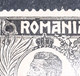 Errors Romania 1920 King Ferdinand 5b Printed With Multiple Errors  Broken Border Frame Unused Gumm - Abarten Und Kuriositäten