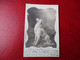 CPA PHOTO 1906 CHIEN DES PYRENEES FEODOR - Honden