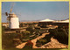 FUERTEVENTURA , Canarias Espana , Molino Tipico Moulin à Vent Windmill Windmuhle , Timbre Sello AHORRE ENERGIA 1980, TB - Fuerteventura