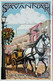 Horse And Carriage, Savannah, GA ( Lantern Press) - Savannah