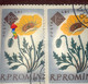 Errors Romania 1961 Mi 2027  Flowers Plants Printed With Spot Color Used - Errors, Freaks & Oddities (EFO)