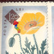 Errors Romania 1961 Mi 2027  Flowers Plants Printed With Spot Color Used - Errors, Freaks & Oddities (EFO)