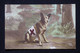 CROIX ROUGE - Carte Postale De Chien Sanitaire, écrite En 1915 - L 116363 - Croix-Rouge