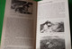 Delcampe - Guida Alle Fortezze Degli Altipiani Di Gianni Pieropan 1 WW Les Forts De La 1 WW The Forts Of The 1WW Vs Austria - War 1914-18