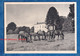 Carte Ancienne Qui S'ouvre - WICKLOW - Ballykeane Stud Farm - Best Wishes For Christmas From Eric R. MIVILLE - Wicklow