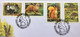 IRELAND 2002, NATIVE IRISH MAMMALS, 4 DIFFERENT STAMP, FV 2.48 £, RABBIT, HARE, SQUIRREL,  INFORMATION CARD - Lettres & Documents