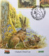 IRELAND 2002, NATIVE IRISH MAMMALS, 4 DIFFERENT STAMP, FV 2.48 £, RABBIT, HARE, SQUIRREL,  INFORMATION CARD - Cartas & Documentos