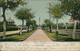 US GALVESTON / Greatings From ... / CARTE COULEUR - Galveston