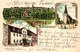 Hohenmölsen, Burgenland-Kreis, Farb-Litho Mit Hotel "Zum Löwen", 1903 - Burgenland