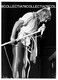 Delcampe - RARE PHOTO ROD STEWART JAPAN TOUR 1981 LOT DE 17 NOIR BLANC WHITE BLACK - Fotos
