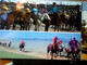 HORSERACE MONGOLIA ? CORSA CAVALLI HORSES RACE   N1990 IN5121 - Mongolia