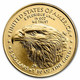 United States 2022 1/10 Oz. American Gold Eagle BU & 1 Oz American Silver Eagle BU USA New Set  (**) - Otros – América