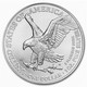 United States 2022 1/10 Oz. American Gold Eagle BU & 1 Oz American Silver Eagle BU USA New Set  (**) - Otros – América