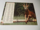 CA004 - Calendrier De 1982 - Almanach Des PTT - La Nature / Les Chevreuils - Grand Format : 1981-90