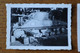 2 DB 2 Photos Du Char KUFRA  1944 1945   501 RCC - 1939-45