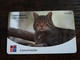 PORTUGAL   CHIPCARD  1OO IMPULSOS €6,-  CAT/GATO-BRAVO FELIS SILVESTRIS        Nice  Fine Used      **8853** - Portugal