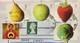 GREAT BRITAIN 2020, CORONA PERIOUD ! FRUIT SHAPED 4 STAMPS!! QUEEN,MOTHER & CHILD TOTAL 6 STAMPS USED COVER TO INDIA - Cartas & Documentos