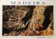 Madeira - 1995 - Mi:PT 2086, Sn:PT 2062, Yt:PT 2062 On Postcard - Look Scan - Brieven En Documenten