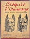 Enseignement Du Dessin COURS STUDIO  1947 CROQUIS D ANIMAUX  Cours V - La Louvière Belgique Nombreux Dessins Schémas - Andere Pläne
