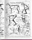 Enseignement Du Dessin COURS STUDIO  1947 CROQUIS D ANIMAUX  Cours V - La Louvière Belgique Nombreux Dessins Schémas - Otros Planes