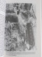 Delcampe - 1940: DIE LANGE HETE ZOMER Vijfdelige Kroniek Van Kleine Mensen In Een Grote Oorlog Door Juliaan Van Belle Brugge nazi - Guerra 1939-45